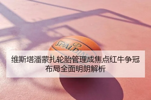 维斯塔潘蒙扎轮胎管理成焦点红牛争冠布局全面明朗解析