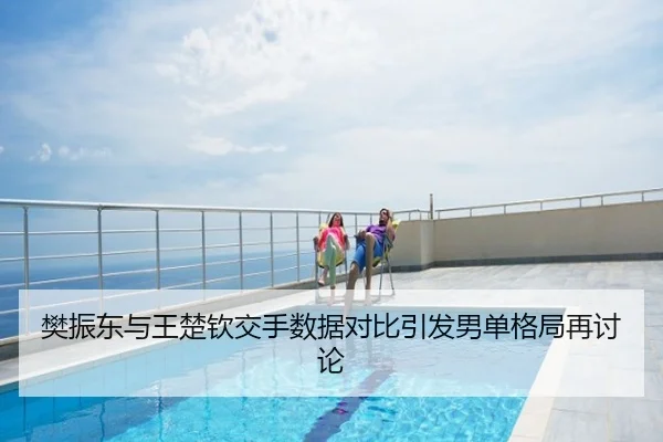 樊振东与王楚钦交手数据对比引发男单格局再讨论